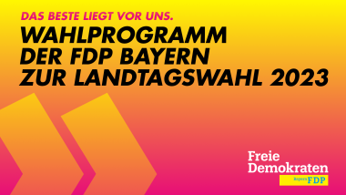 Landtagswahlprogramm.